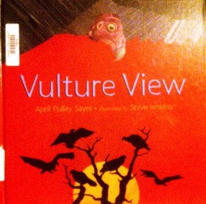VultureViewCover